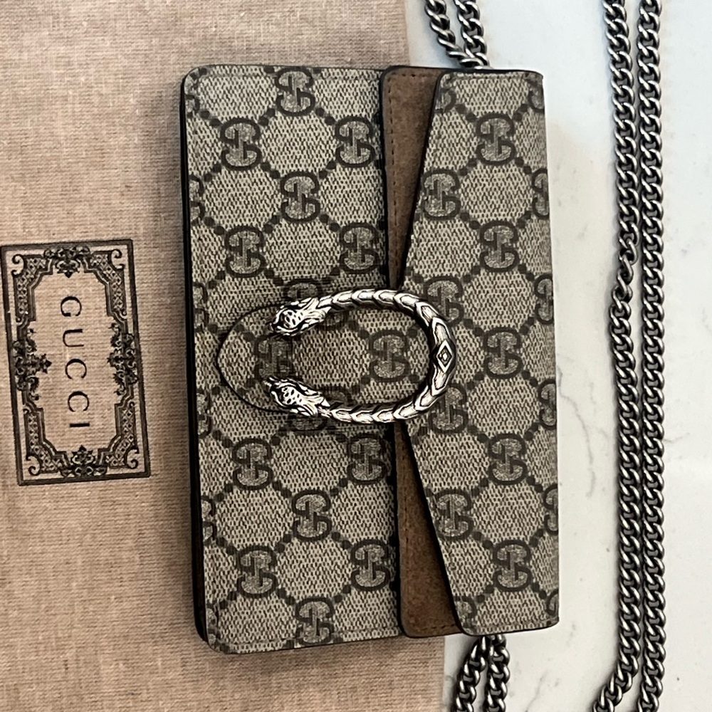 Gucci Mini Bag in Brown and Silver